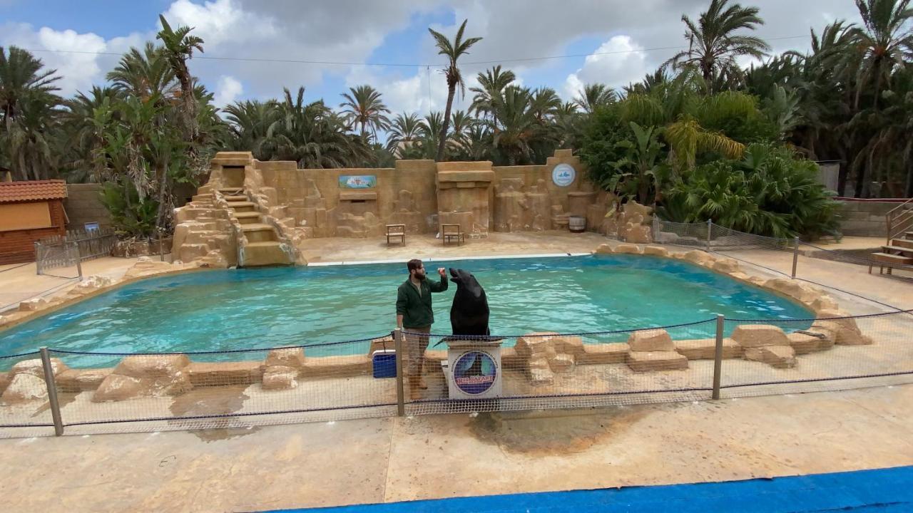 Apartamentos Yanina Gran Alacant サンタ・ポラ エクステリア 写真
